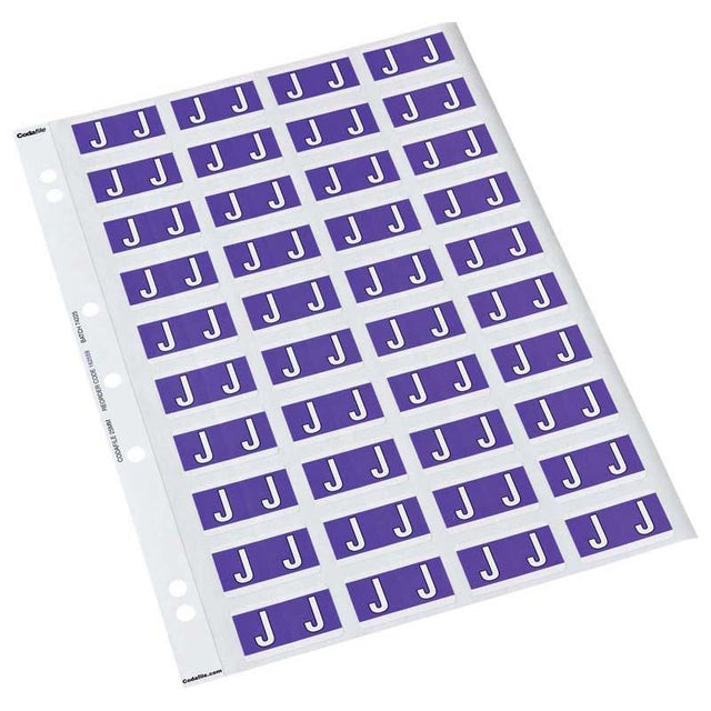 Bright purple 25mm x 42mm labels pack for efficient documentation organization and color coding in home or office use.