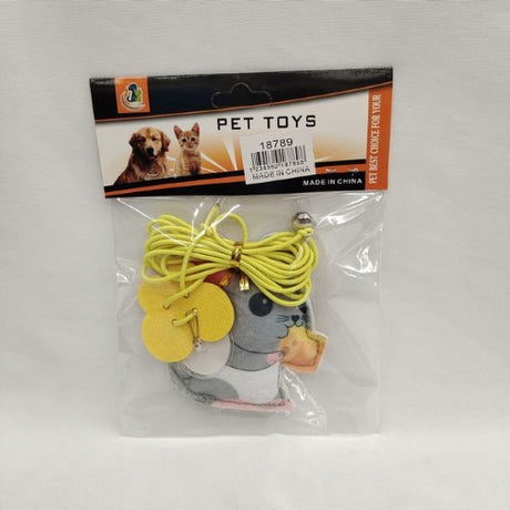 Colorful set of 6 cat toys designed for engaging play and stimulating natural hunting instincts in cats.