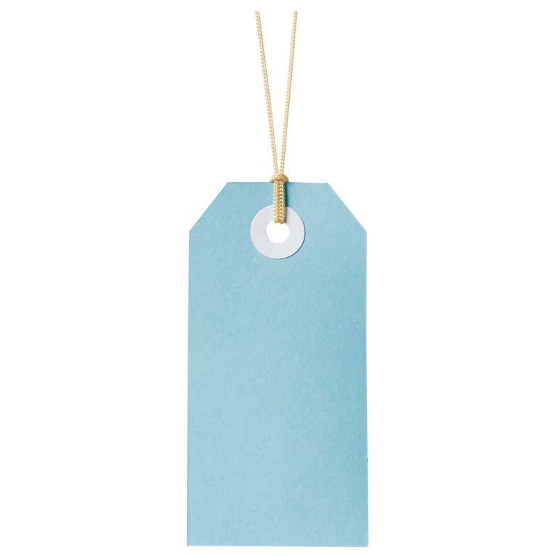 Pastel blue cardboard gift tags, 48x96mm, with reinforced holes and white twine, ideal for crafting and gifting.