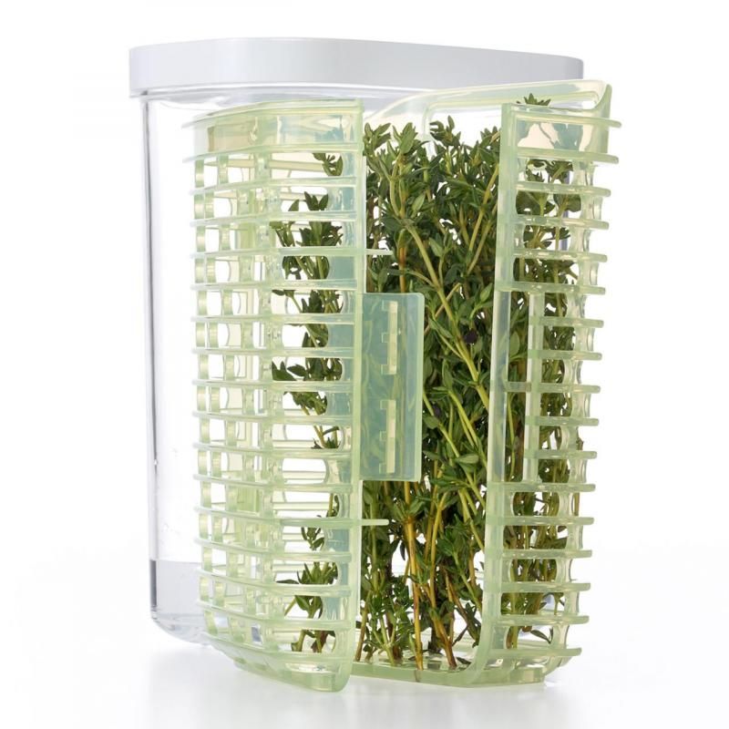 Compact OXO Greensaver Herb Keeper maintains herb freshness with moisture control and 360° air circulation.