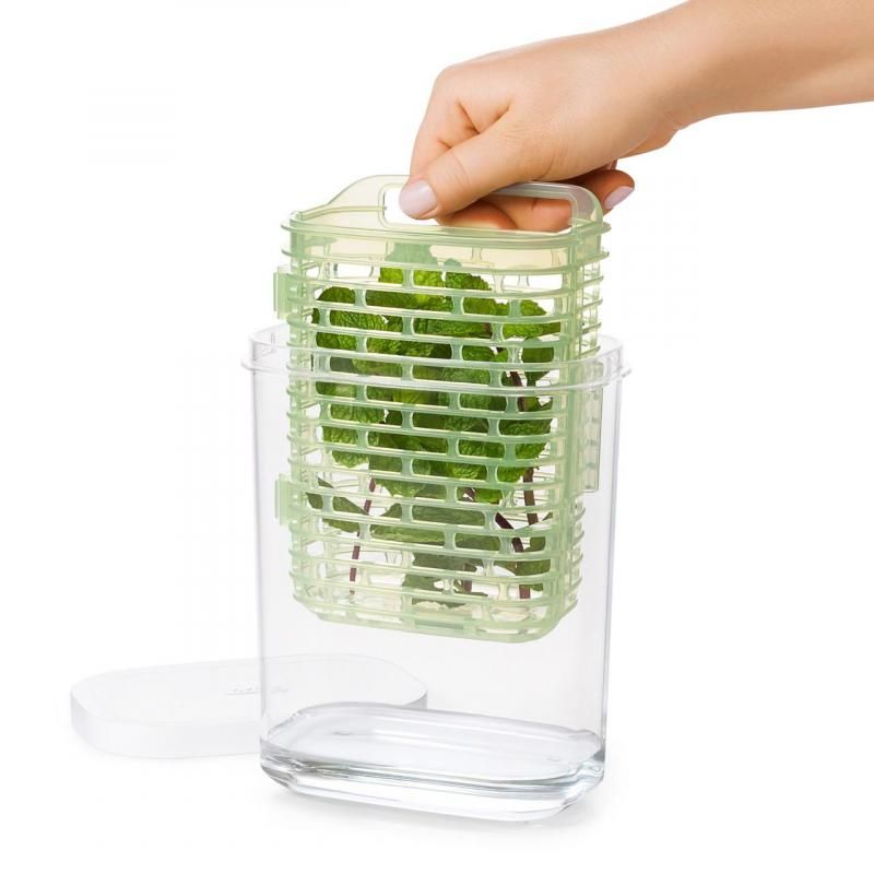 OXO Greensaver Herb Keeper in small size, designed for preserving herbs with moisture control and 360° air circulation.