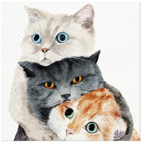 Charming 3-ply lunch napkin featuring paw decor, ideal for pet lovers, in a pack of 20, 33x33cm size for any occasion.