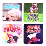 Set of 24 colorful dog-themed coasters with punny sayings, cork-backed, heat-resistant, perfect for any drink.