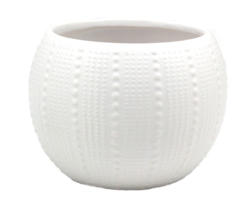 Elegant round ceramic pot, 17.5cm in diameter, ideal for indoor plants or as a decor piece, inspired by coastal flora.