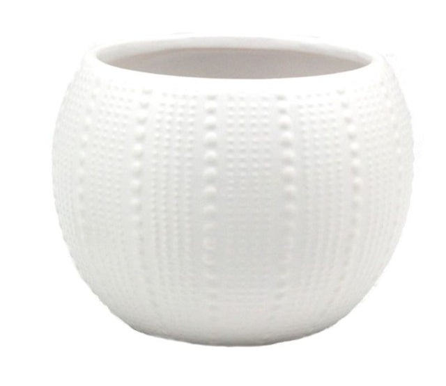 Elegant round ceramic pot, 17.5cm in diameter, ideal for indoor plants or as a decor piece, inspired by coastal flora.