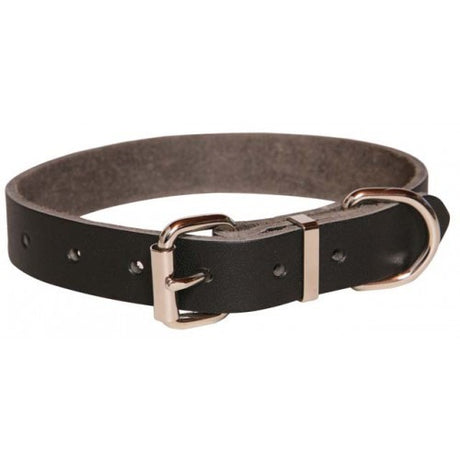 Plain leather dog collar for small dogs, 1/2" wide, with durable buckle and Dee ring for leash attachment.