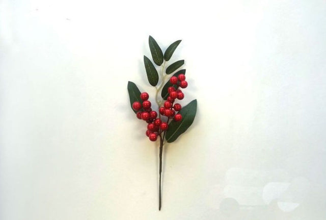 Premium Red Berry Pick with stainless steel prongs and ergonomic handle for easy and efficient berry harvesting.