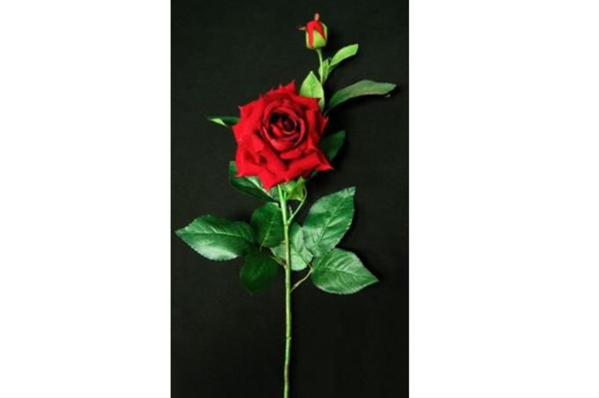 Lifelike Artificial English Rose in Red Velvet with a delicate bud, perfect for elegant home decor and special occasions.