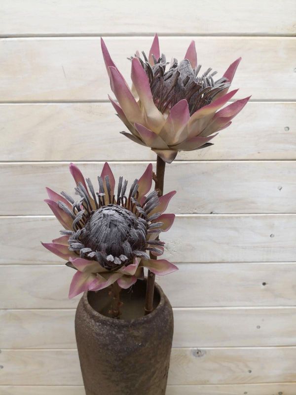 Artificial King Protea in dry look, 12 cm wide, 9 cm tall, 48 cm long; perfect for decor and floral arrangements.