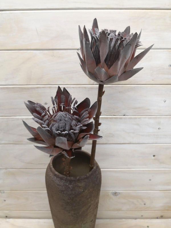 Lifelike small artificial King Protea in brown, 48 cm long, perfect for home decor and unique centerpieces.