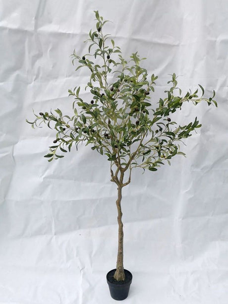 Lifelike 1.8m artificial olive tree in a stylish pot, ideal for adding Mediterranean elegance to any indoor or outdoor space.