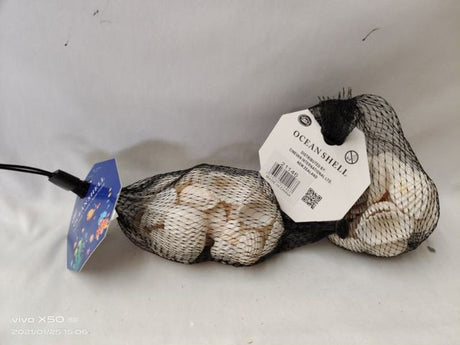 Handpicked ocean shells in 100g packs, ideal for crafting, decor, and educational projects, celebrating marine beauty.