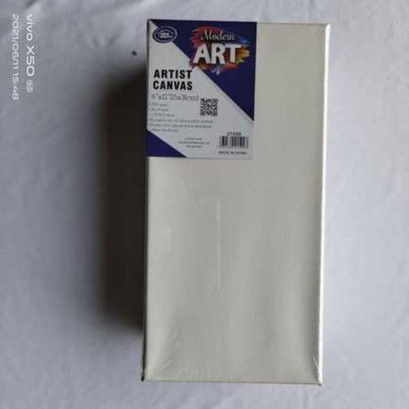 Set of 6 premium artist canvases (15 x 31CM) perfect for vibrant paint absorption and versatile art projects.