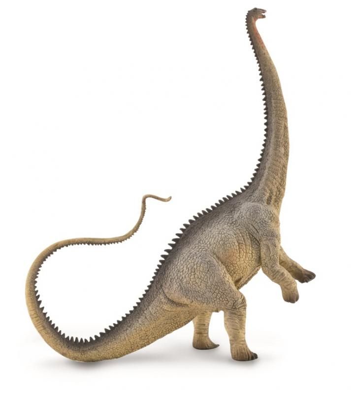 Majestic 22.8cm grey Diplodocus figurine, showcasing intricate details of the iconic Jurassic herbivore.