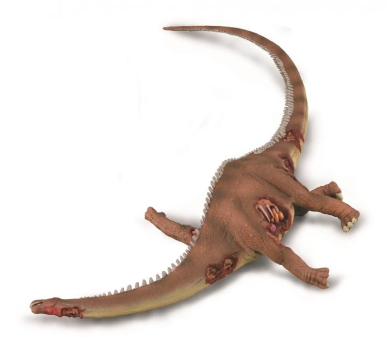 Detailed 25cm Collecta Brontosaurus figurine showcasing herbivorous Thunder Lizard with unique wounds, perfect for collections.