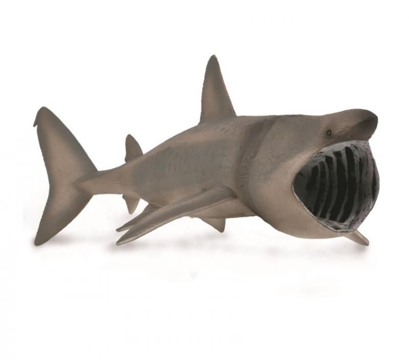 Collecta Figurine - Basking Shark XL (22.5cm)