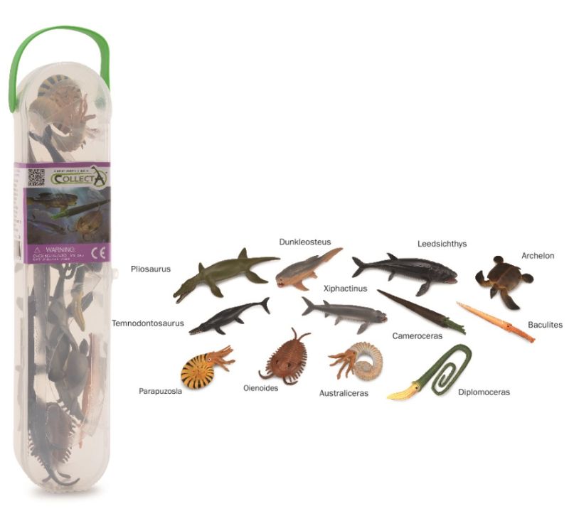 Box of Mini Prehistoric Marine Animals - CollectA