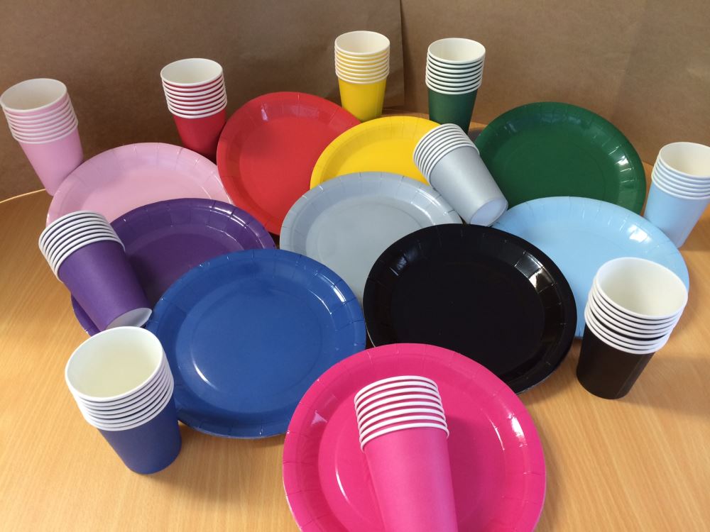 Vibrant yellow paper plates, 9 inches, pack of 6, eco-friendly and perfect for parties and outdoor events.
