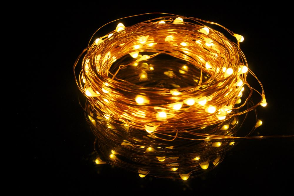 Warm white LED seed lights on flexible copper wire, perfect for creating enchanting indoor ambiance and custom decor designs.