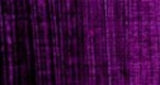 40ml tube of Perm Magenta artist oil paint, showcasing vibrant color and smooth application for stunning artwork.