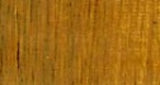 Artist Oil Paint 40ml tube in Raw Sienna, showcasing vibrant color, smooth application, and durability for all artists.