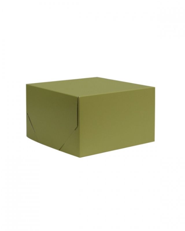 Aloe green 2-piece gift boxes, 203x203x152mm, eco-friendly, durable, pack of 100 for stylish gifting on any occasion.