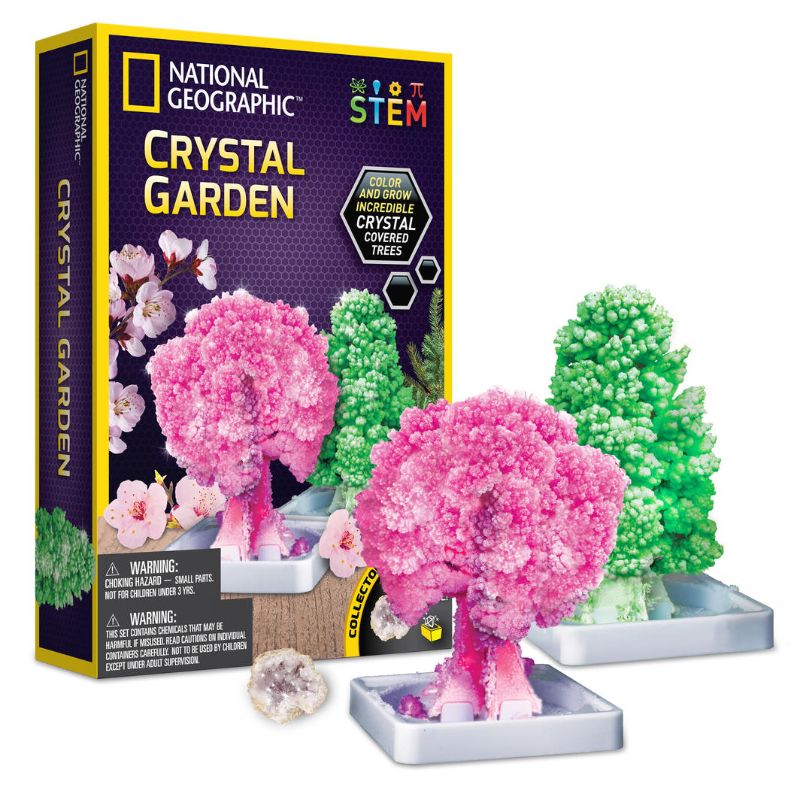 Crystal Garden Kit from National Geographic; grow stunning crystal trees with educational materials and a rose quartz keepsake.