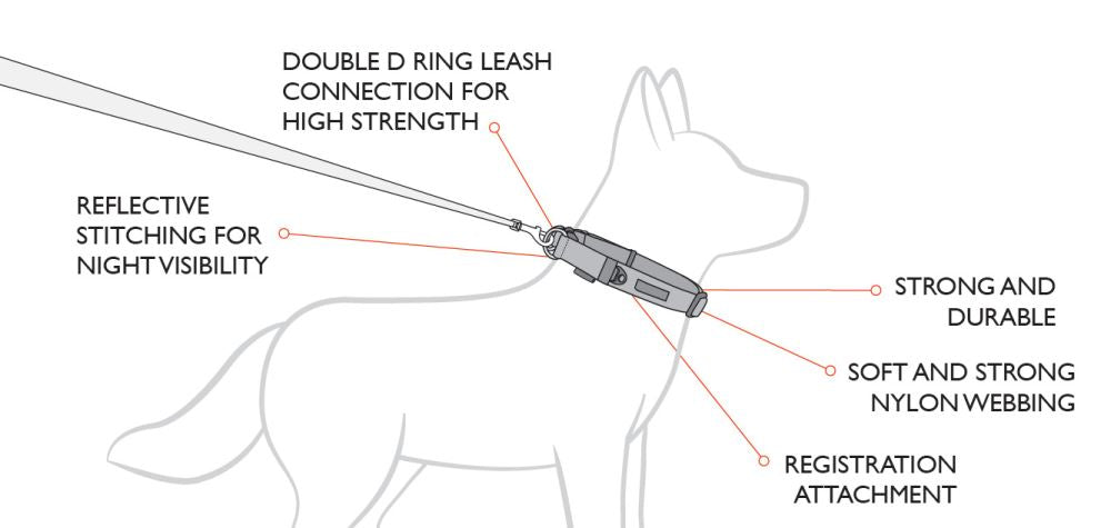 Black Ezy Dog Collar Double Up in medium, featuring double stainless steel D-rings, soft touch webbing, and reflective safety accents.