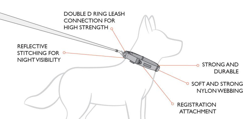 double-up-diagram_RLH8Z0WB3JM4.jpg