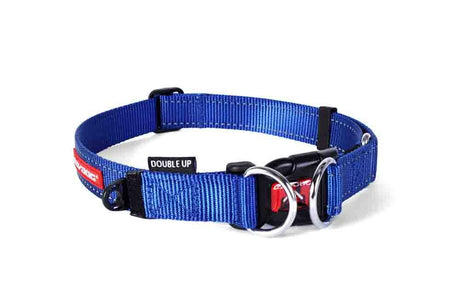 Ezy Dog Collar Double Up in blue, medium size, built for strength and safety with double D-rings and reflective webbing.