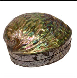 Stunning Paua Shell Jewellery Box with vibrant colors, satin lining, and unique natural patterns, perfect for storing treasures.