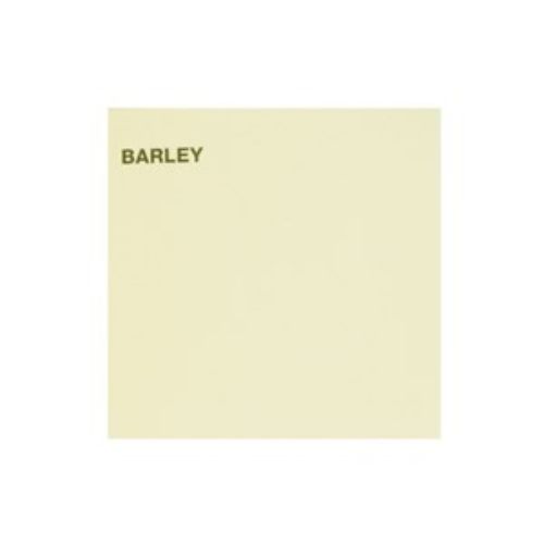 Pack of 25 Canford Paper Imp Barley sheets in elegant matte finish, ideal for crafts, presentations, and artistic projects.