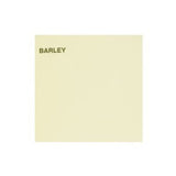 Pack of 25 Canford Paper Imp Barley sheets in elegant matte finish, ideal for crafts, presentations, and artistic projects.