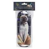 Charming Hocus Pocus glasses case by Lisa Parker, featuring magical artwork and a gold logo, includes a cleaning cloth.