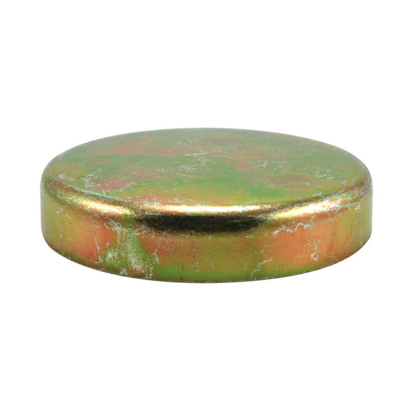 Champion 22mm steel expansion (frost) plugs in a 5-pack, ideal for durable plumbing and construction projects.