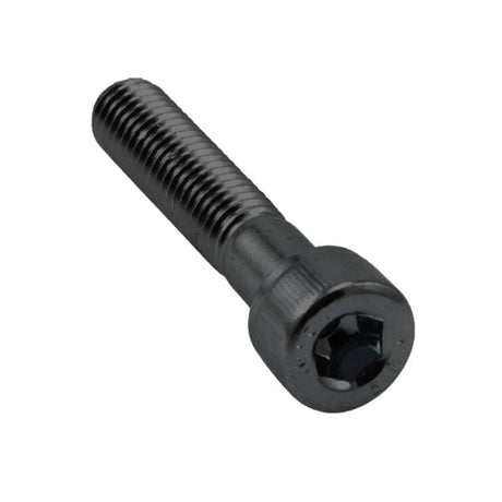 High-quality 1/4in x 1-1/4in BSW socket head cap screws in a 6-pack, ideal for automotive and DIY projects.