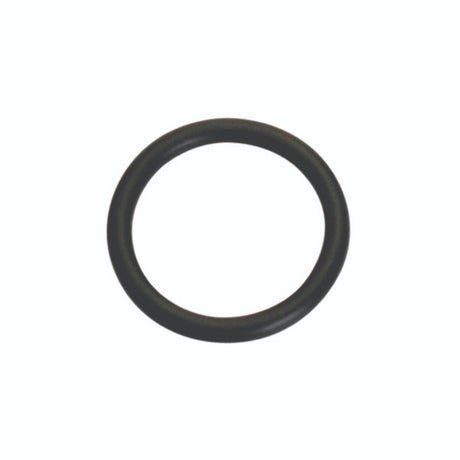 Ten-pack of Champion O-rings, 1/8in size, designed for leak-proof seals in plumbing and automotive applications.