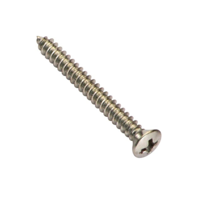 Champion 6G x 3/4in tapping screws, 100pk, raised head slot design for easy driving and secure grip in various materials.