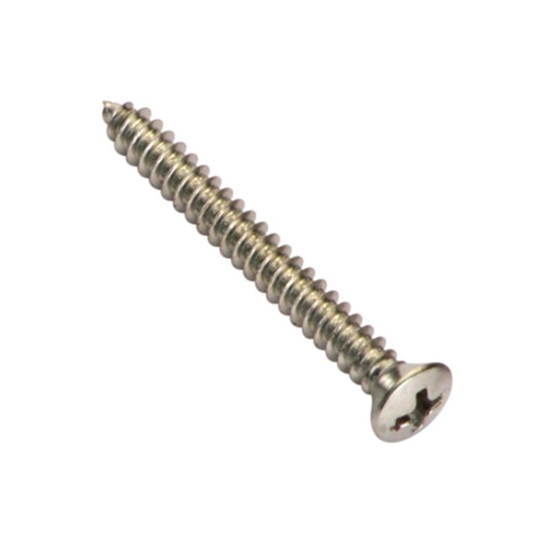 Champion 8G x 1in self-tapping screws, raised head slot, 100 pack for durable woodworking and metalworking applications.