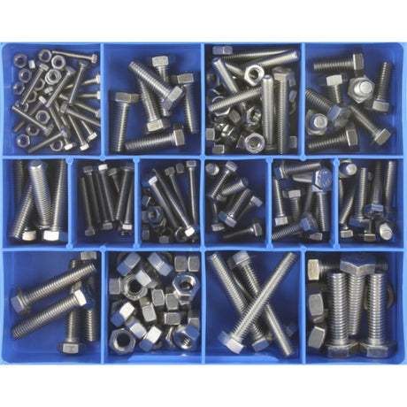 Champion 174pc Stainless Steel Metric Set Screw & Nut assortment with sizes M4 to M10, ideal for DIY and industrial use.