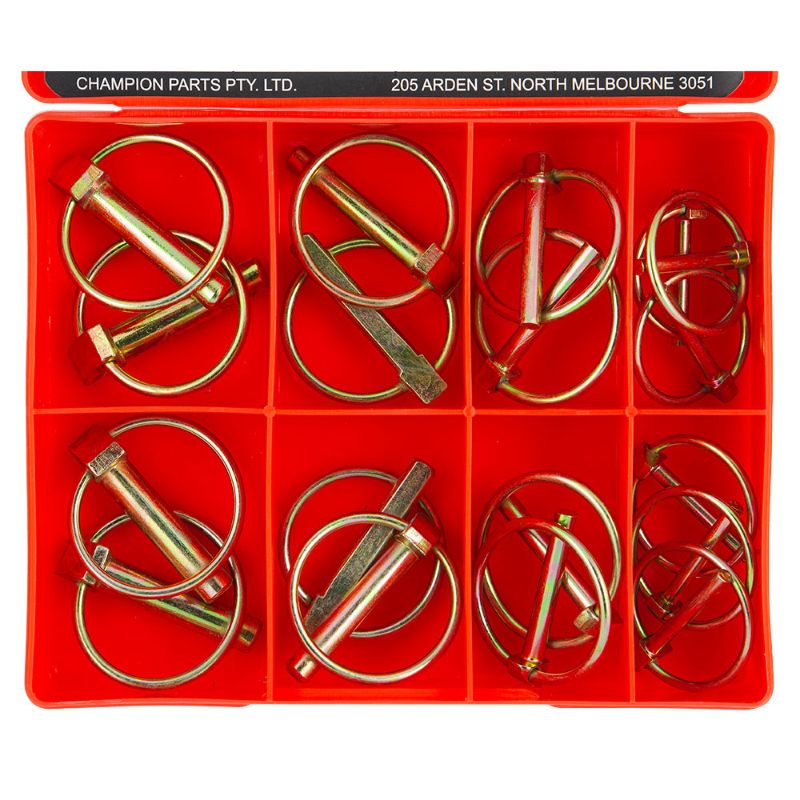 Champion 18pc Lynch Pin Assortment featuring 8 sizes from 5mm to 10mm for secure anchoring in various applications.