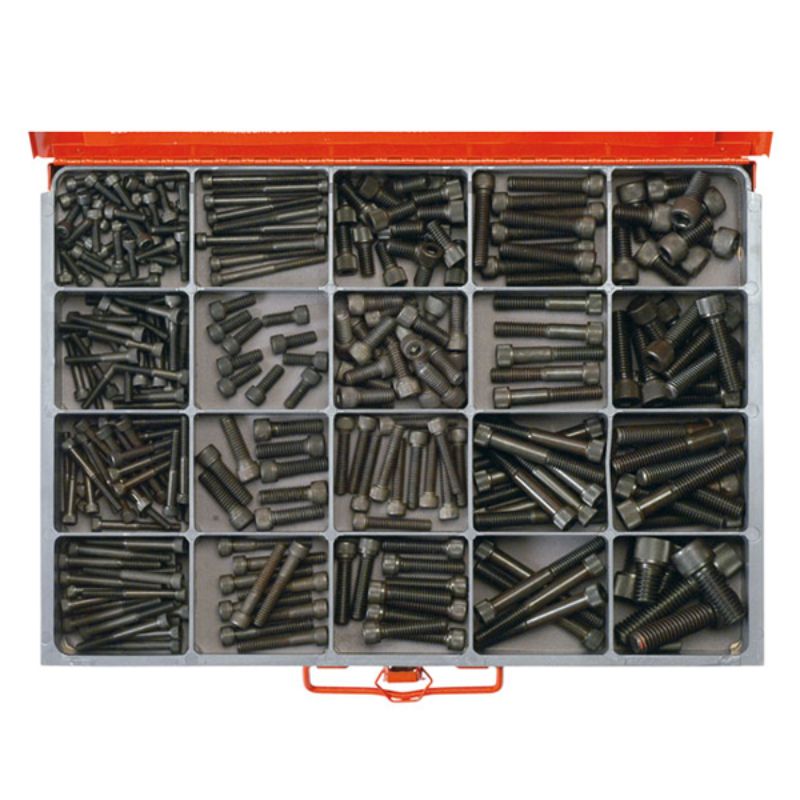 300-piece Champion Master Kit of high tensile socket head cap screws in various sizes, perfect for assembly and repairs.