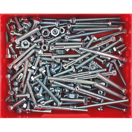 A comprehensive 191-piece motorcycle fastener set, featuring zinc-plated screws and washers in 28 sizes for all repair needs.