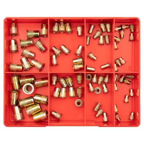 Champion 80pc Rivet Nut Insert Assortment in steel, featuring five sizes (M4 to M10) for versatile fastening solutions.