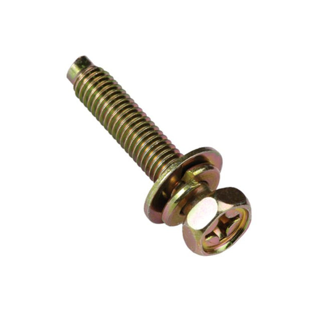 Champion M6 x 30mm Sems Hex/PH Bolt with spring and flat washer, 50-pack, ideal for automotive and construction use.