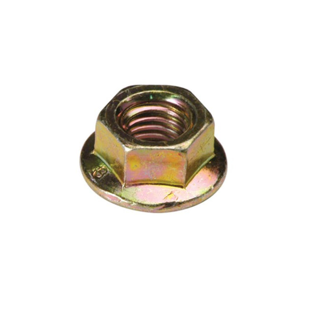 Champion M6 x 1.00 nuts in a 95-pack, crafted for durability and versatile fastening in various projects.