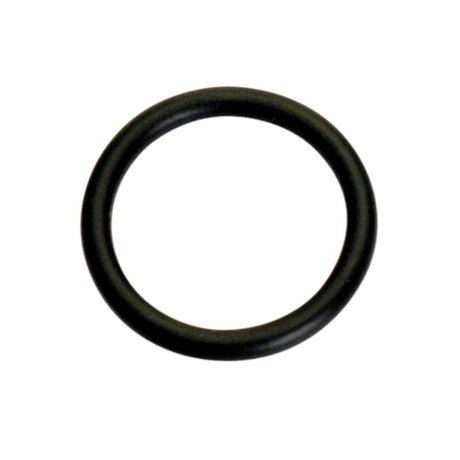 Champion 1 Imperial O-Ring pack with 25 durable O-Rings, 7/16in I.D. x 1/8in thick, perfect for leak-proof sealing.