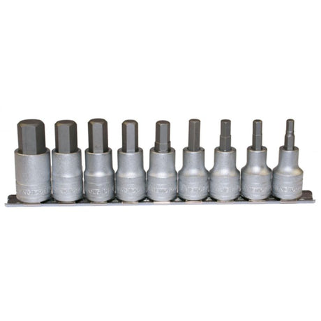 Teng 9pc 1/2in Drive Hex Socket Set (5-17mm) featuring durable, satin-finished sockets organized on a metal clip rail.