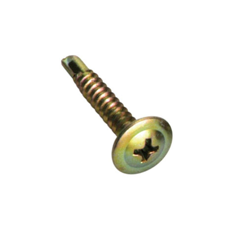 Champion 8G self-drilling screws, 25mm long, designed for quick installation in wood, metal, and masonry with optimal grip.