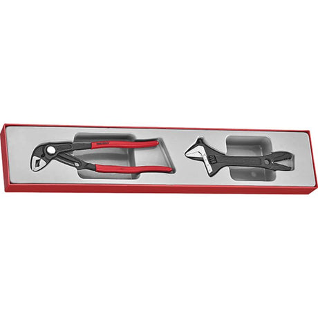 Teng 2pc Plier/Adjustable Wrench Set featuring MB482-10Q Pliers and 4003J Wrench, organized in a TTX-Tray. Ideal for DIY and professionals.